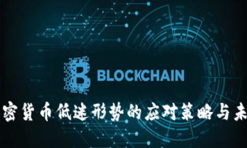 面对加密货币低迷形势的应对策略与未来展望