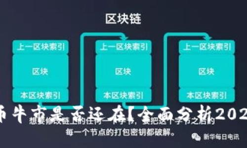 当前加密货币牛市是否还在？全面分析2023年市场动向