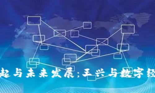 加密货币的崛起与未来发展：王兴与数字经济的深度解析