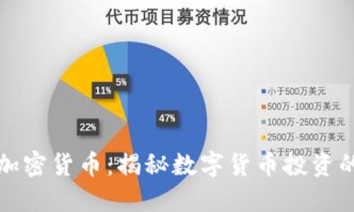 大爆炸加密货币：揭秘数字货币投资的新趋势