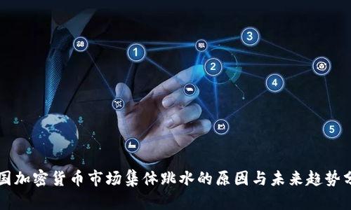 美国加密货币市场集体跳水的原因与未来趋势分析