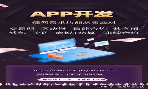数字货币钱包地址详解：加密数字货币的安全存储与管理指南