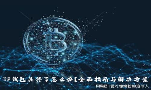 TP钱包关停了怎么办？全面指南与解决方案