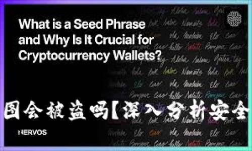 TP钱包余额截图会被盗吗？深入分析安全性及防护措施