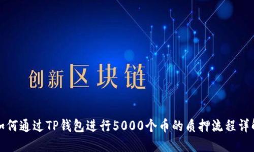 如何通过TP钱包进行5000个币的质押流程详解