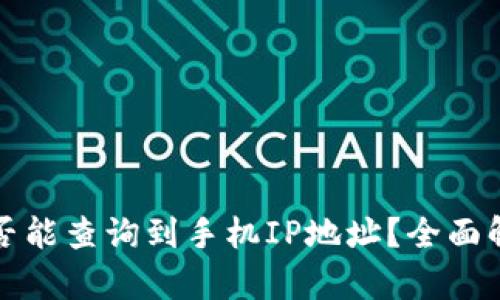 TP钱包登录是否能查询到手机IP地址？全面解析与安全防护