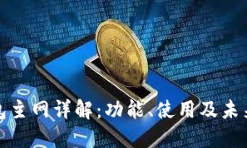 TP钱包主网详解：功能、使用及未来发展