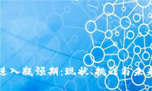 加密货币进入瓶颈期：现状、挑战与未来前景分析