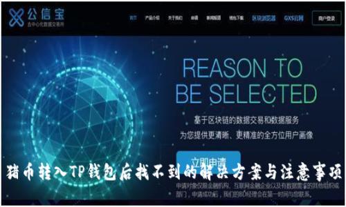 猪币转入TP钱包后找不到的解决方案与注意事项