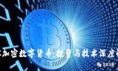 DSC加密数字货币：投资与技术深度解析