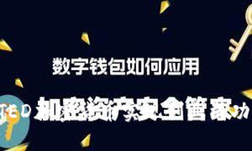 如何通过TED加密货币实现创业成功：全面指南