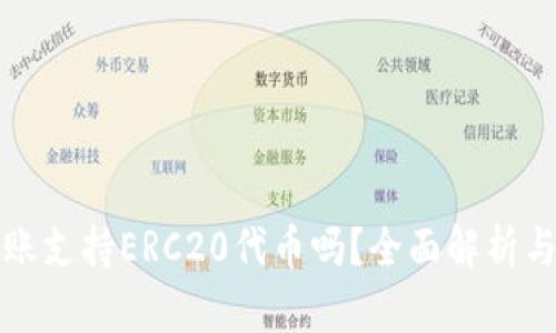 TP钱包转账支持ERC20代币吗？全面解析与使用指南