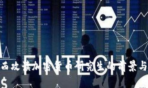 在巴西攻读加密货币研究生的前景与机会