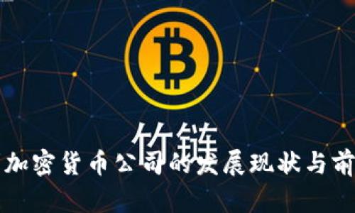 奥地利加密货币公司的发展现状与前景分析