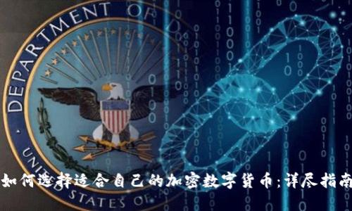 如何选择适合自己的加密数字货币：详尽指南