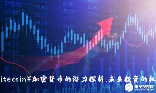 莱特币（Litecoin）加密货币的潜力探析：未来投资的机会与风险