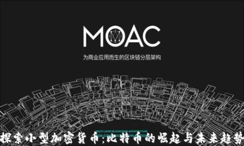 
探索小型加密货币：比特币的崛起与未来趋势