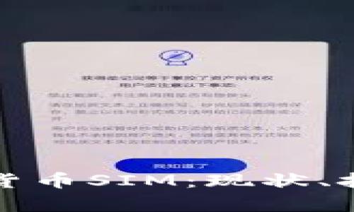 深入解析加密货币SIM：现状、挑战与未来发展