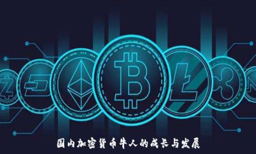   
国内加密货币牛人的成长与发展