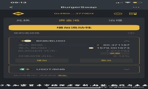 2023年加密货币市场深度分析：趋势、挑战与未来展望