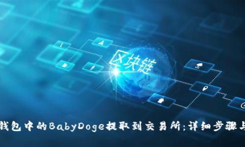 如何将TP钱包中的BabyDoge提取到交易所：详细步骤与注意事项