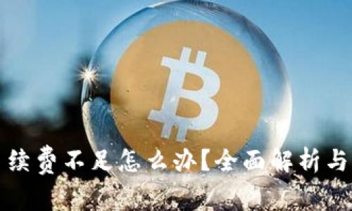 TP钱包手续费不足怎么办？全面解析与解决方案